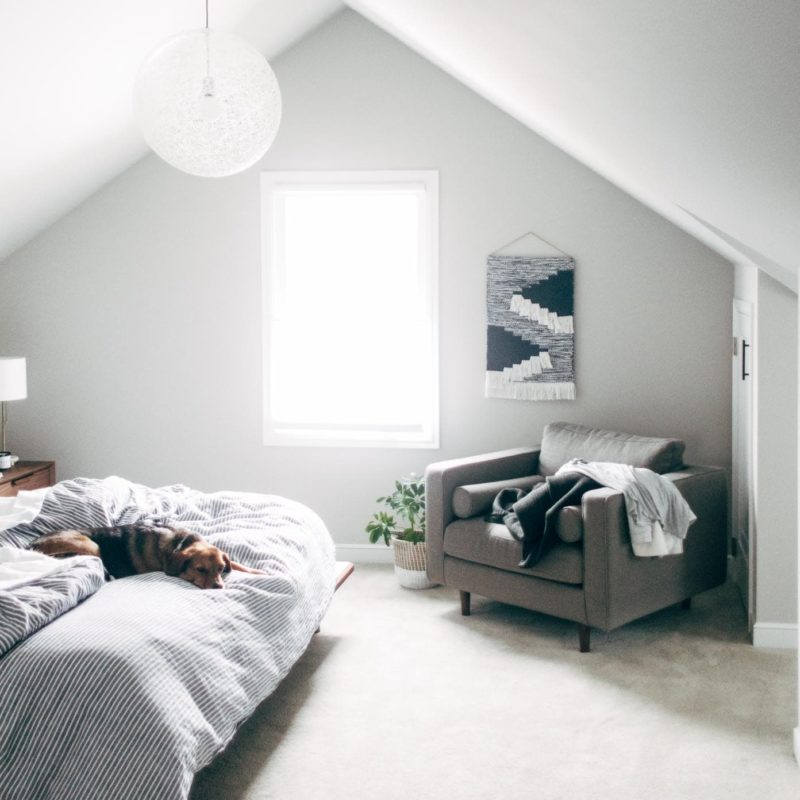 Bedroom upstairs with Sage on the bed.