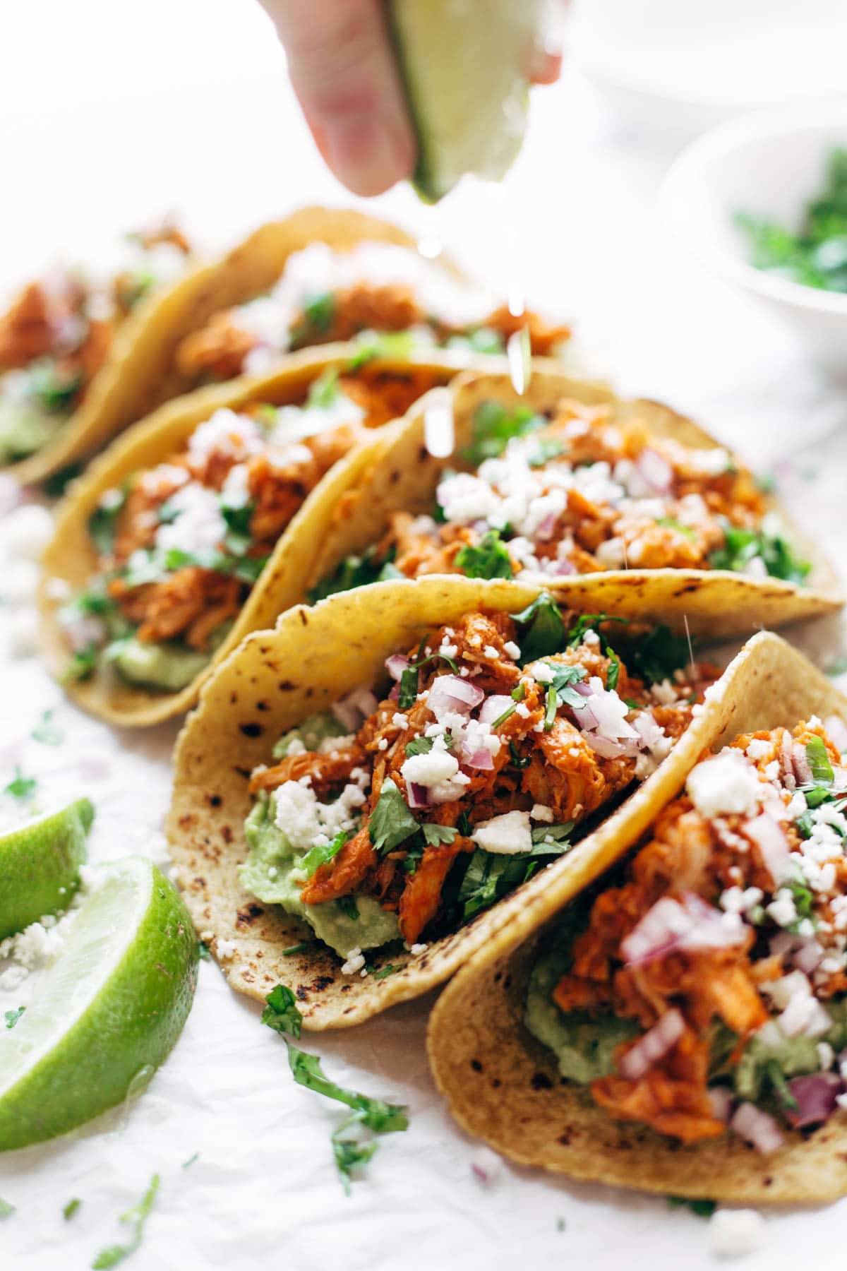 Closeup shot of Chicken Tinga Tacos.