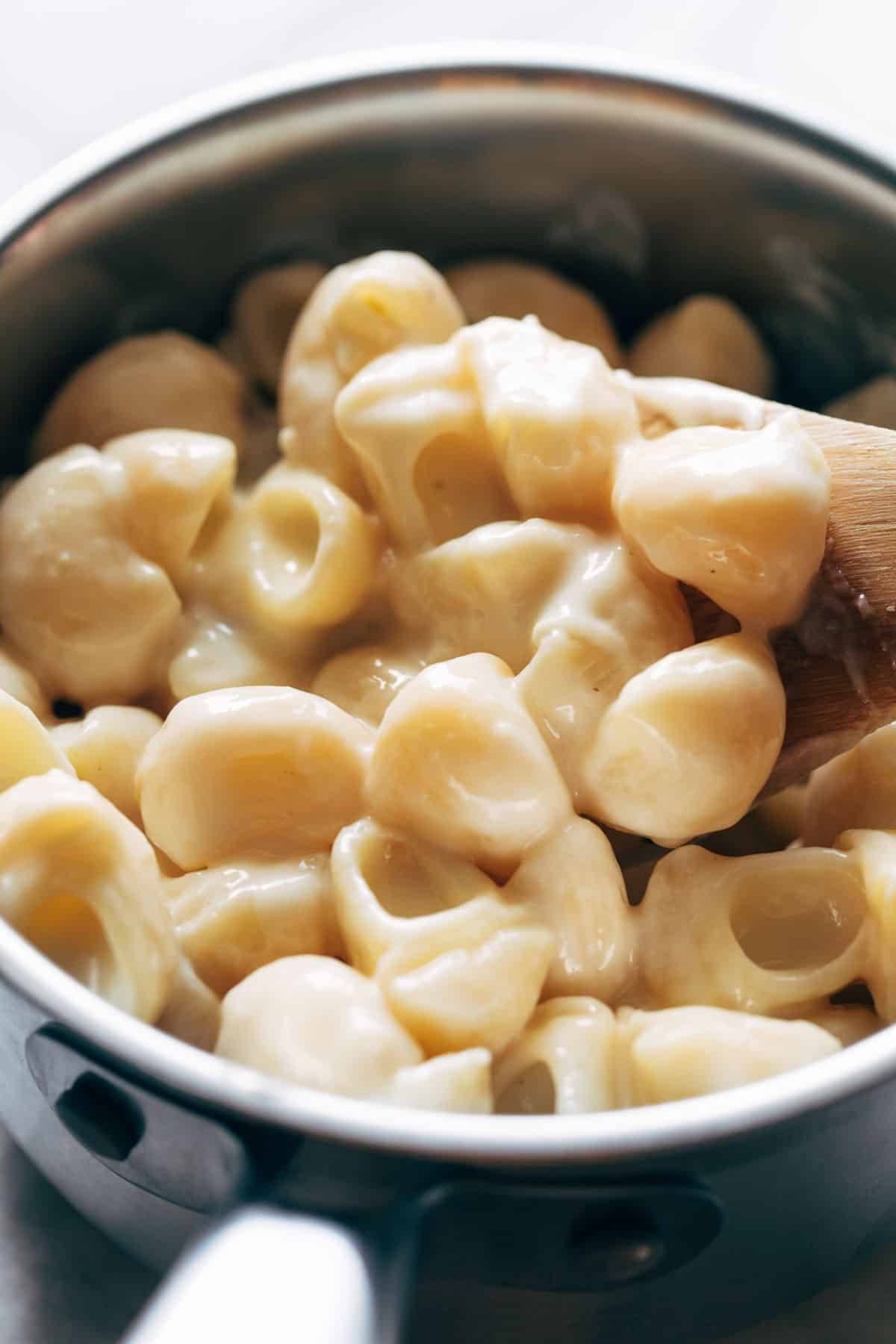 Parmesan on shellbows.